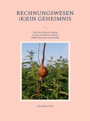 cover image of Rechnungswesen (k)ein Geheimnis